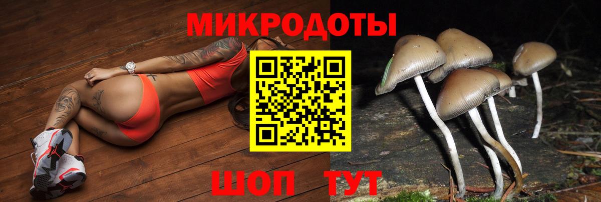 закладка  Галлюциногенные грибы Psilocybe  Вход с VPN  Сунжа 